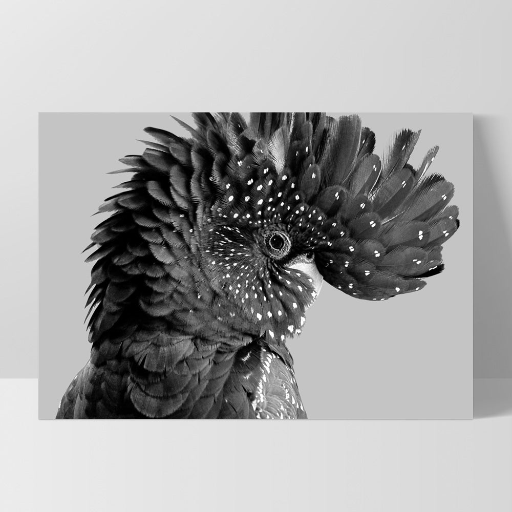 Black Cockatoo Pose Landscape, in Black & White - Art Print, Poster, Stretched Canvas, or Framed Wall Art Print, shown as a stretched canvas or poster without a frame