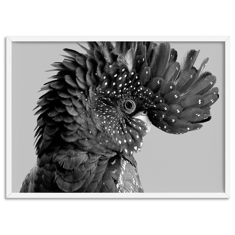 Black Cockatoo Pose Landscape, in Black & White - Art Print, Poster, Stretched Canvas, or Framed Wall Art Print, shown in a white frame