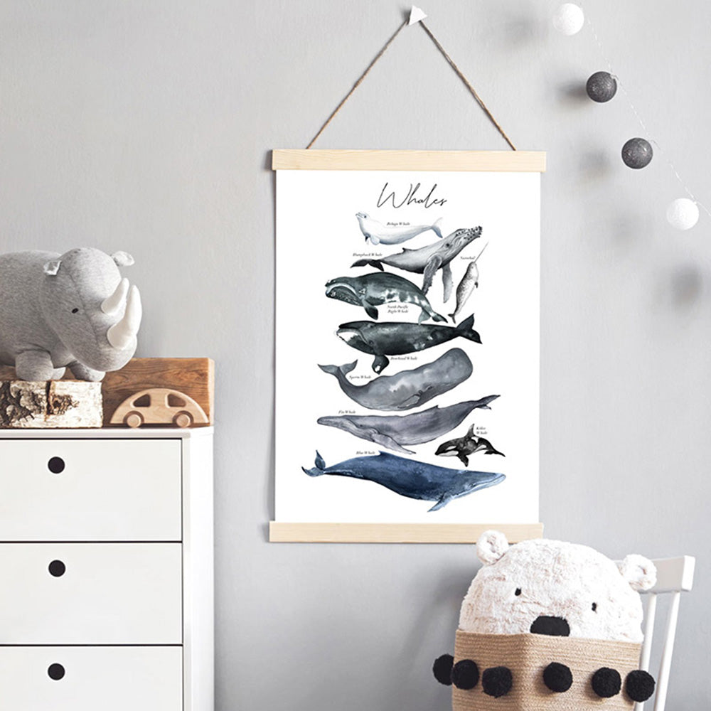 Whales of The World Chart in Watercolour  - Art Print, Poster, Stretched Canvas or Framed Wall Art Prints, shown framed in a room