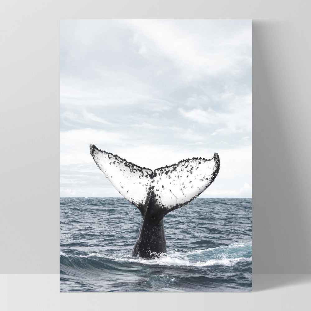 Humpback Whale Tail - Art Print, Poster, Stretched Canvas, or Framed Wall Art Print, shown as a stretched canvas or poster without a frame
