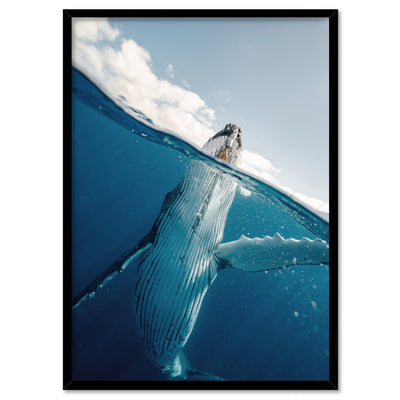 Underwater Humpback Whale I - Art Print, Poster, Stretched Canvas, or Framed Wall Art Print, shown in a black frame