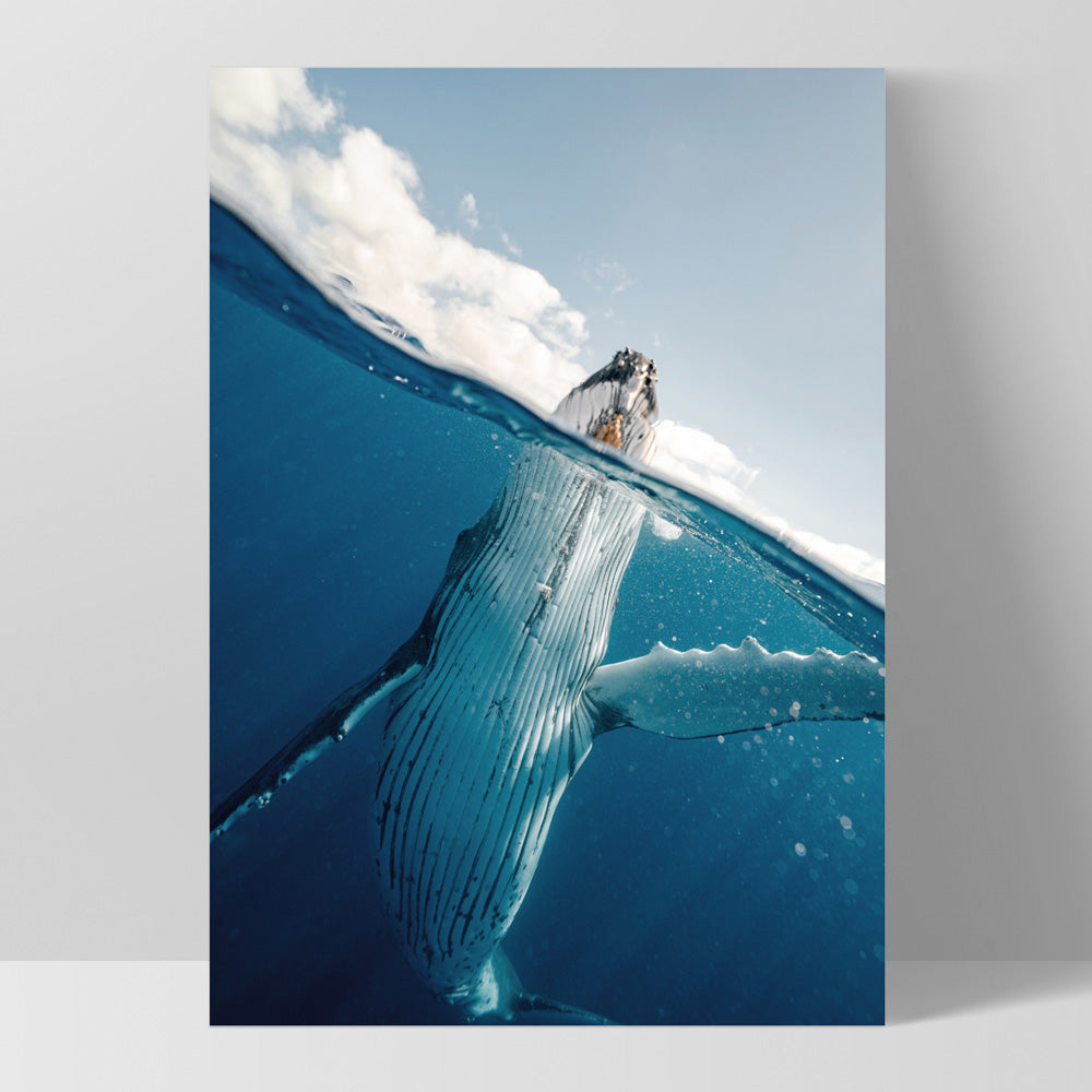 Underwater Humpback Whale I - Art Print, Poster, Stretched Canvas, or Framed Wall Art Print, shown as a stretched canvas or poster without a frame