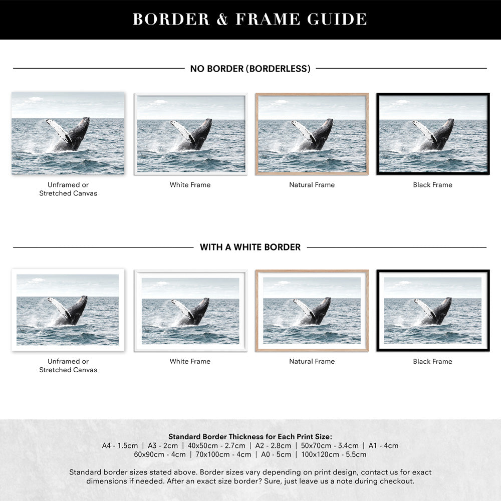 Humpback Whale - Art Print, Poster, Stretched Canvas or Framed Wall Art, Showing White , Black, Natural Frame Colours, No Frame (Unframed) or Stretched Canvas, and With or Without White Borders