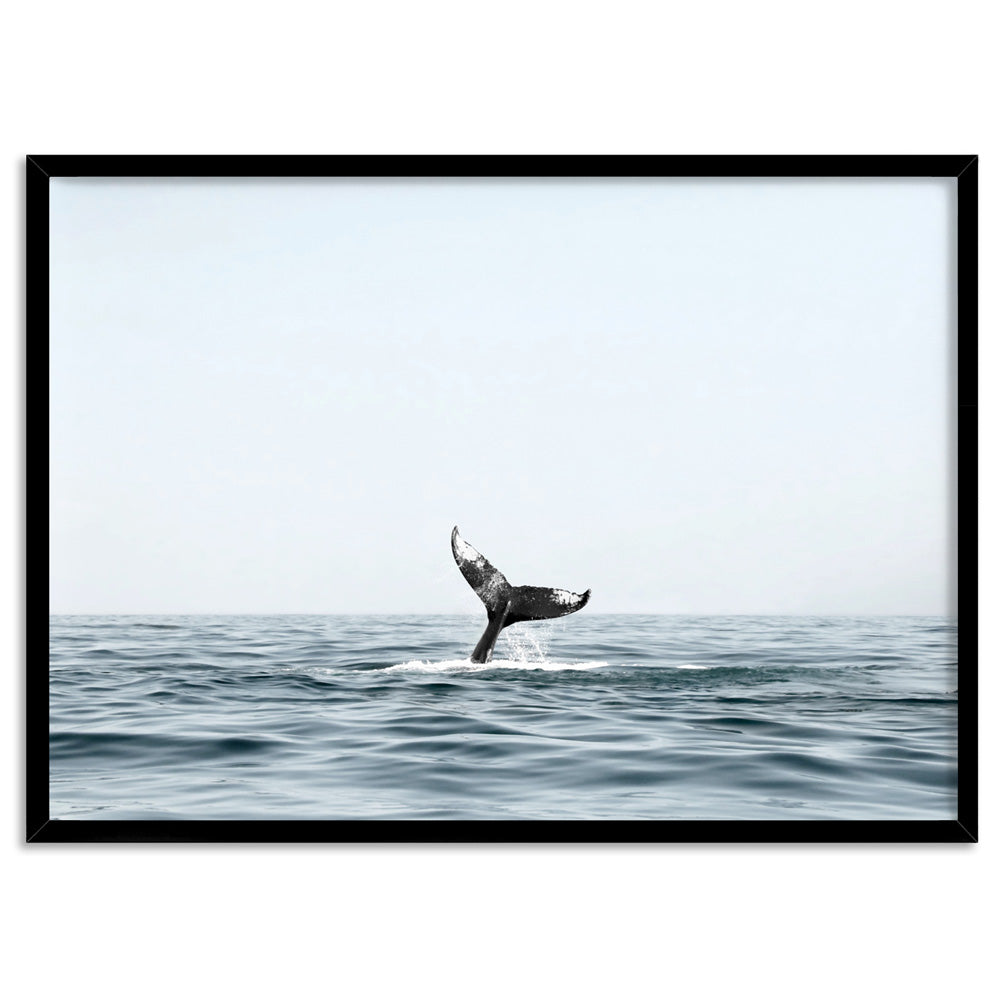 Humpback Whale Tail II Landscape - Art Print, Poster, Stretched Canvas, or Framed Wall Art Print, shown in a black frame