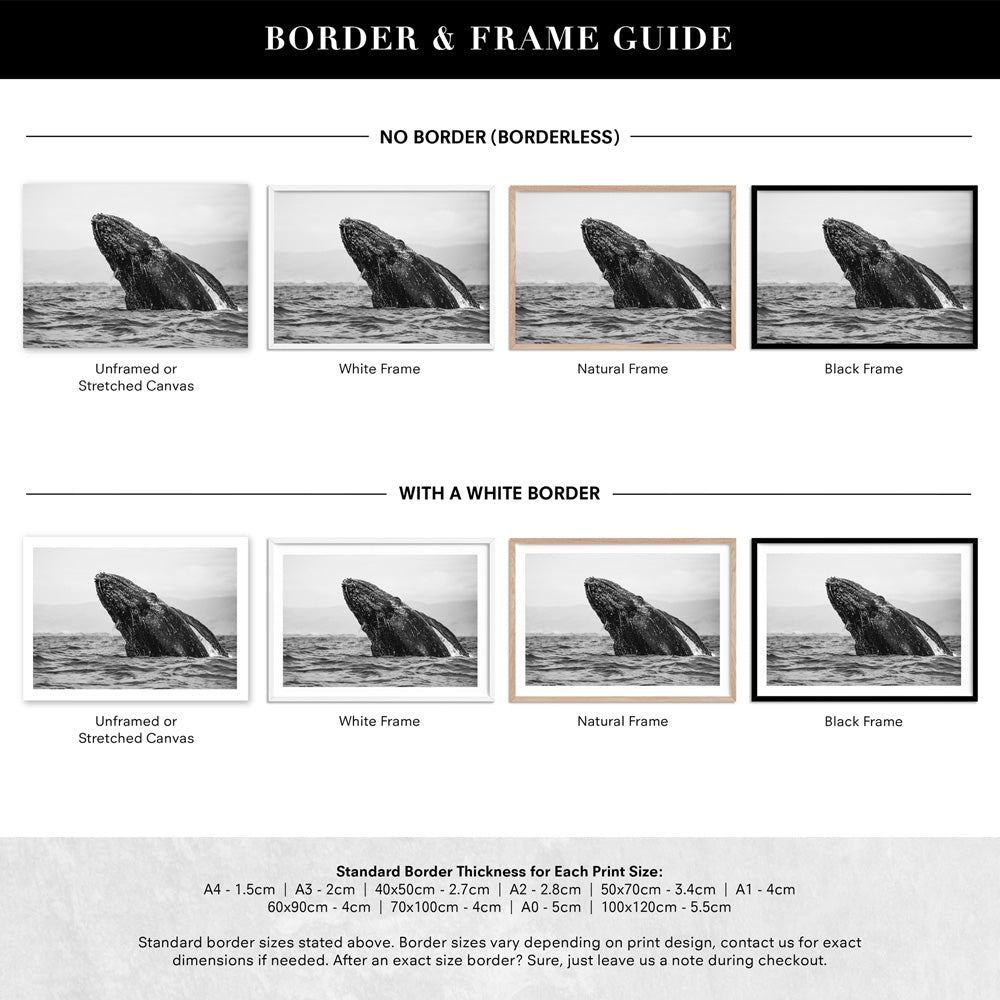 Humpback Whale Breach Landscape - Art Print, Poster, Stretched Canvas or Framed Wall Art, Showing White , Black, Natural Frame Colours, No Frame (Unframed) or Stretched Canvas, and With or Without White Borders