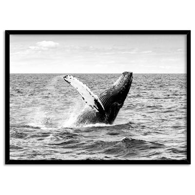 Humpback Whale Breach Landscape II - Art Print, Poster, Stretched Canvas, or Framed Wall Art Print, shown in a black frame