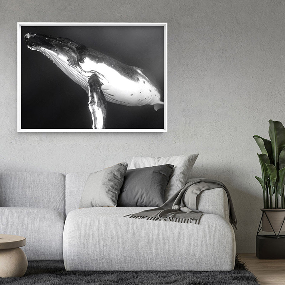 Underwater Humpback Whale Black & White - Art Print, Poster, Stretched Canvas or Framed Wall Art Prints, shown framed in a room