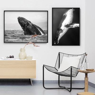 Underwater Humpback Whale Black & White - Art Print, Poster, Stretched Canvas or Framed Wall Art, shown framed in a home interior space