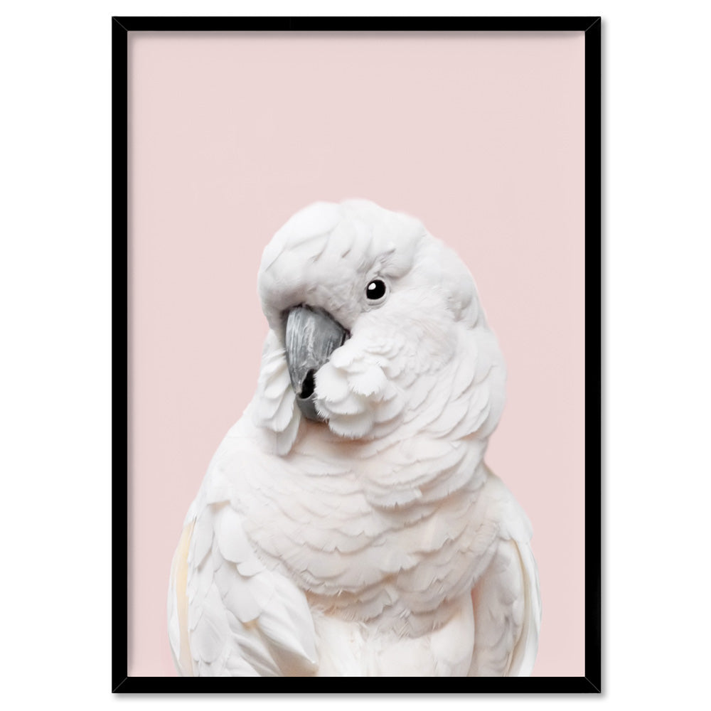 White Cockatoo on Blush - Art Print, Poster, Stretched Canvas, or Framed Wall Art Print, shown in a black frame