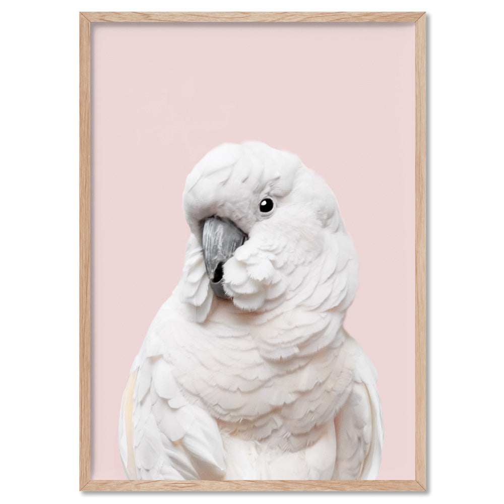 White Cockatoo on Blush - Art Print, Poster, Stretched Canvas, or Framed Wall Art Print, shown in a natural timber frame