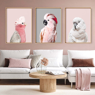 White Cockatoo on Blush - Art Print, Poster, Stretched Canvas or Framed Wall Art, shown framed in a home interior space