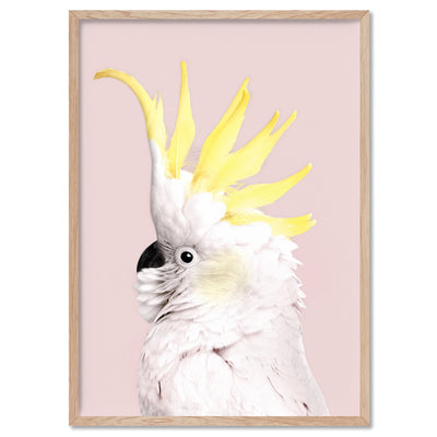 White Sulphur Crested Cockatoo on Blush - Art Print, Poster, Stretched Canvas, or Framed Wall Art Print, shown in a natural timber frame