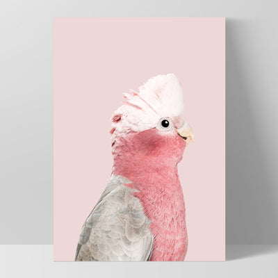 Galah Pink Cockatoo on Blush - Art Print, Poster, Stretched Canvas, or Framed Wall Art Print, shown as a stretched canvas or poster without a frame