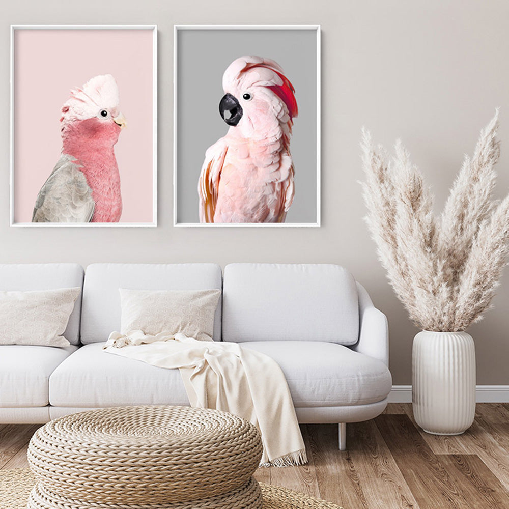 Galah Pink Cockatoo on Blush - Art Print, Poster, Stretched Canvas or Framed Wall Art, shown framed in a home interior space