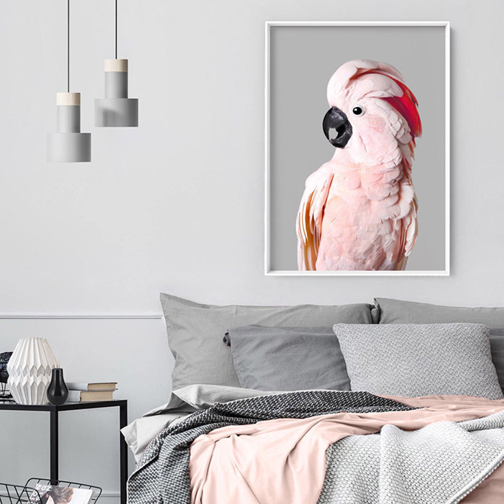 Salmon Crested Cockatoo II - Art Print, Poster, Stretched Canvas or Framed Wall Art Prints, shown framed in a room
