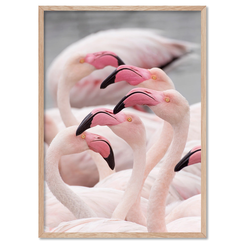Pink Flamingos Flock - Art Print, Poster, Stretched Canvas, or Framed Wall Art Print, shown in a natural timber frame