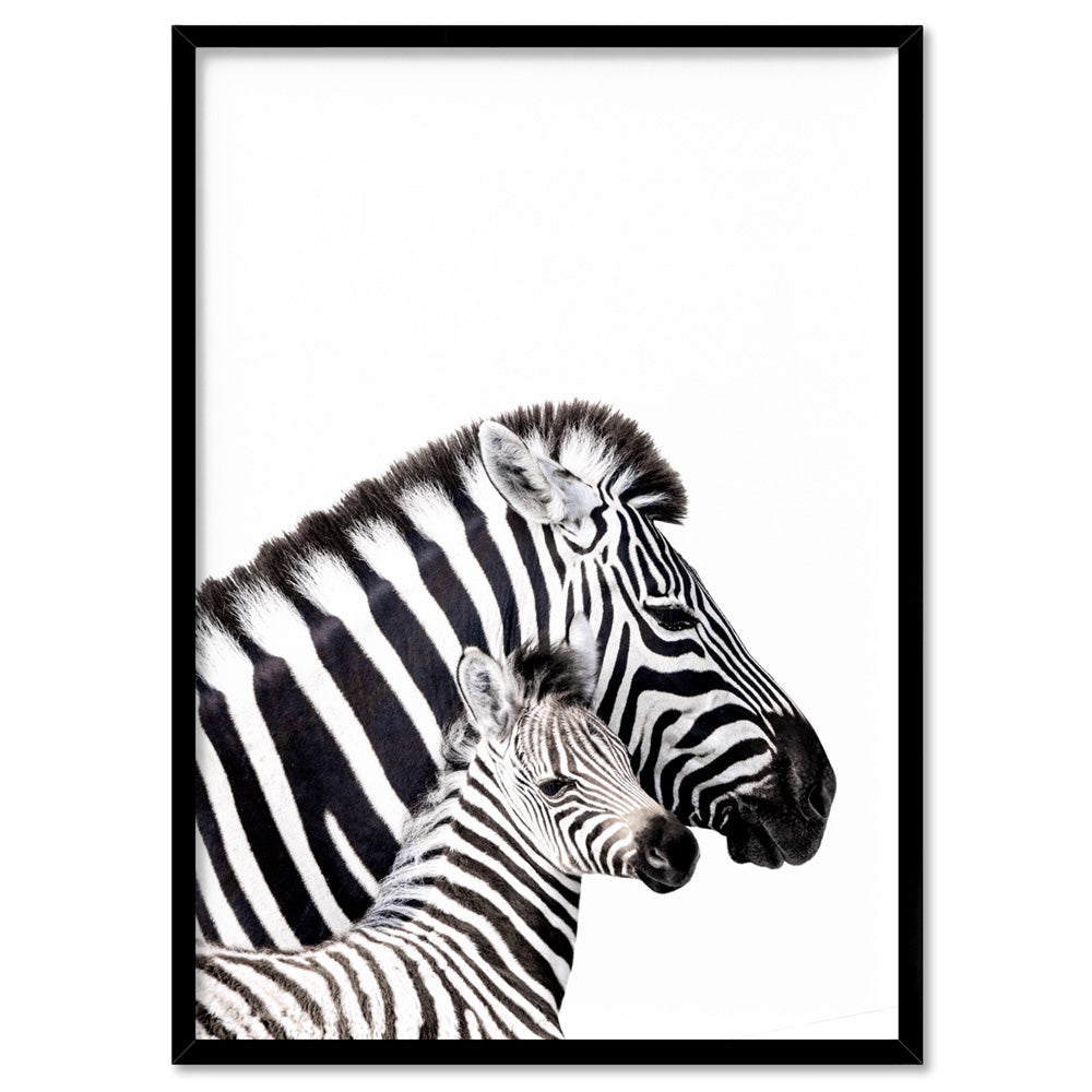 Zebra Mother and Baby - Art Print, Poster, Stretched Canvas, or Framed Wall Art Print, shown in a black frame