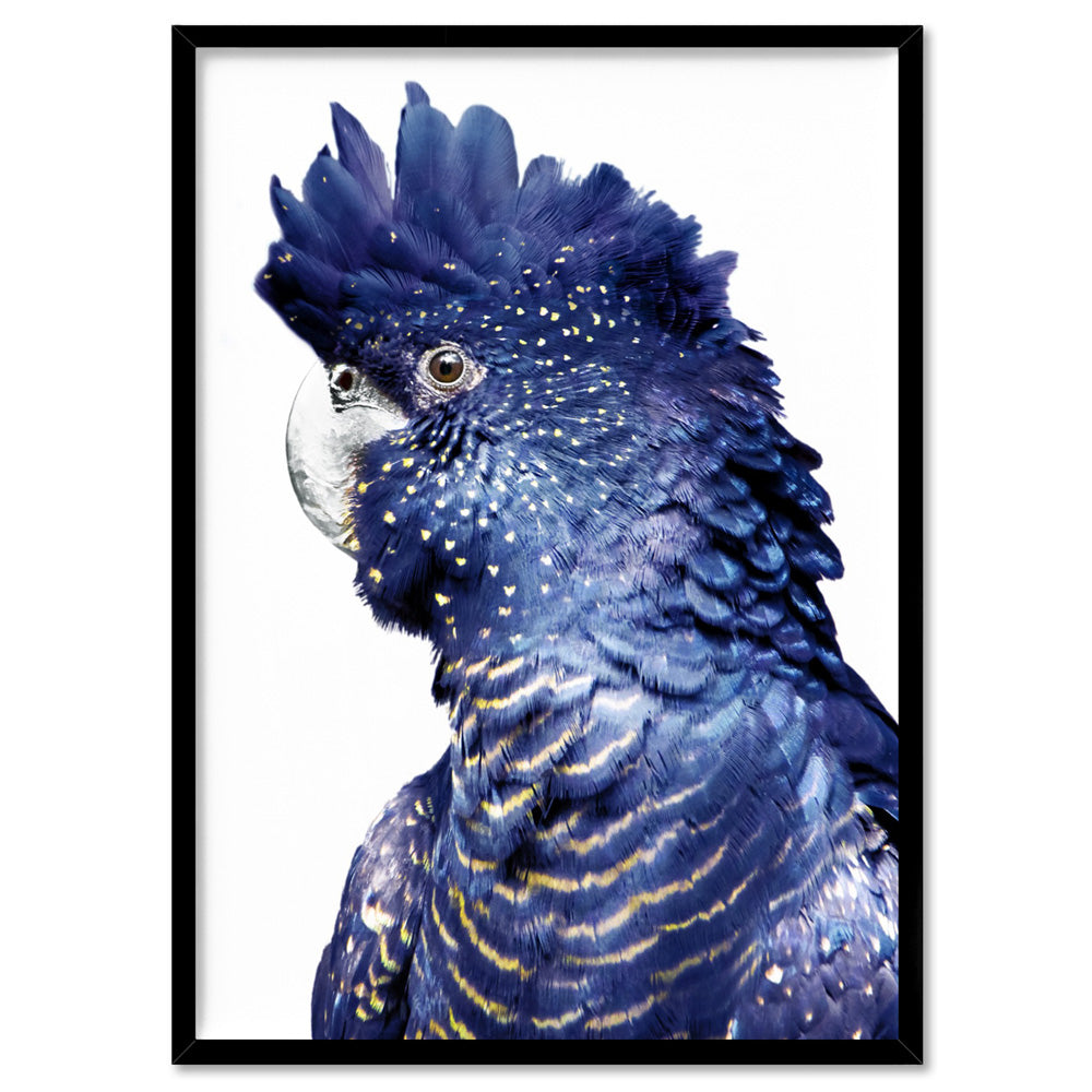 Black Cockatoo (blue tones) I - Art Print, Poster, Stretched Canvas, or Framed Wall Art Print, shown in a black frame