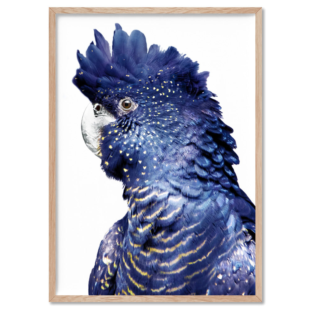 Black Cockatoo (blue tones) I - Art Print, Poster, Stretched Canvas, or Framed Wall Art Print, shown in a natural timber frame