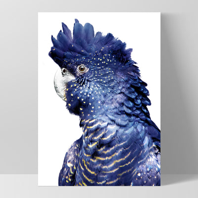 Black Cockatoo (blue tones) I - Art Print, Poster, Stretched Canvas, or Framed Wall Art Print, shown as a stretched canvas or poster without a frame