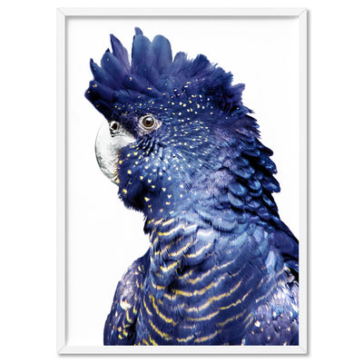 Black Cockatoo (blue tones) I - Art Print, Poster, Stretched Canvas, or Framed Wall Art Print, shown in a white frame