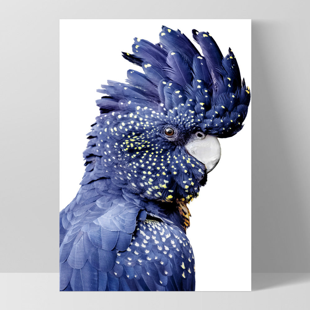 Black Cockatoo (blue tones) II - Art Print, Poster, Stretched Canvas, or Framed Wall Art Print, shown as a stretched canvas or poster without a frame