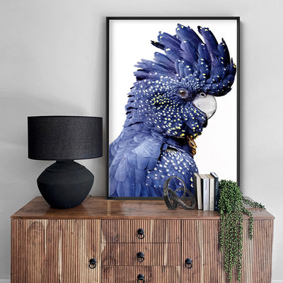 Black Cockatoo (blue tones) II - Art Print, Poster, Stretched Canvas or Framed Wall Art Prints, shown framed in a room
