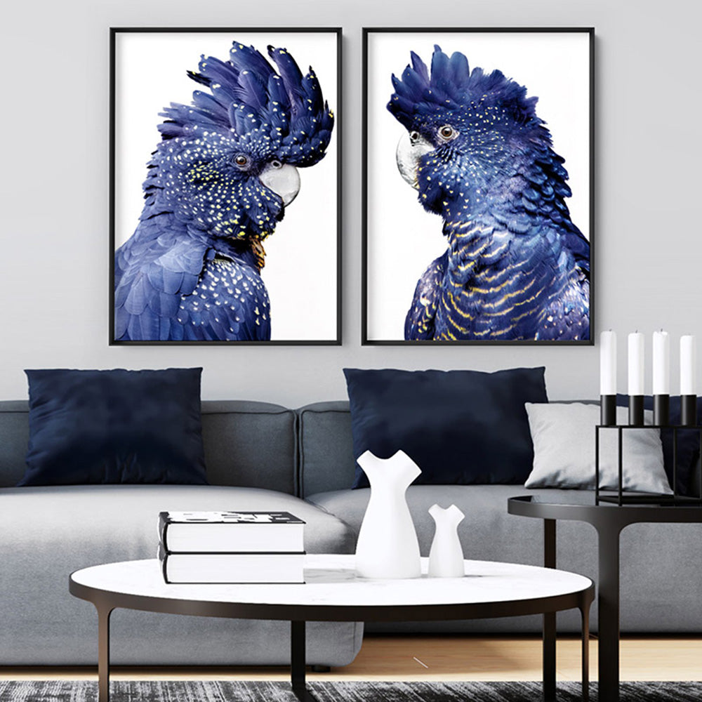 Black Cockatoo (blue tones) II - Art Print, Poster, Stretched Canvas or Framed Wall Art, shown framed in a home interior space