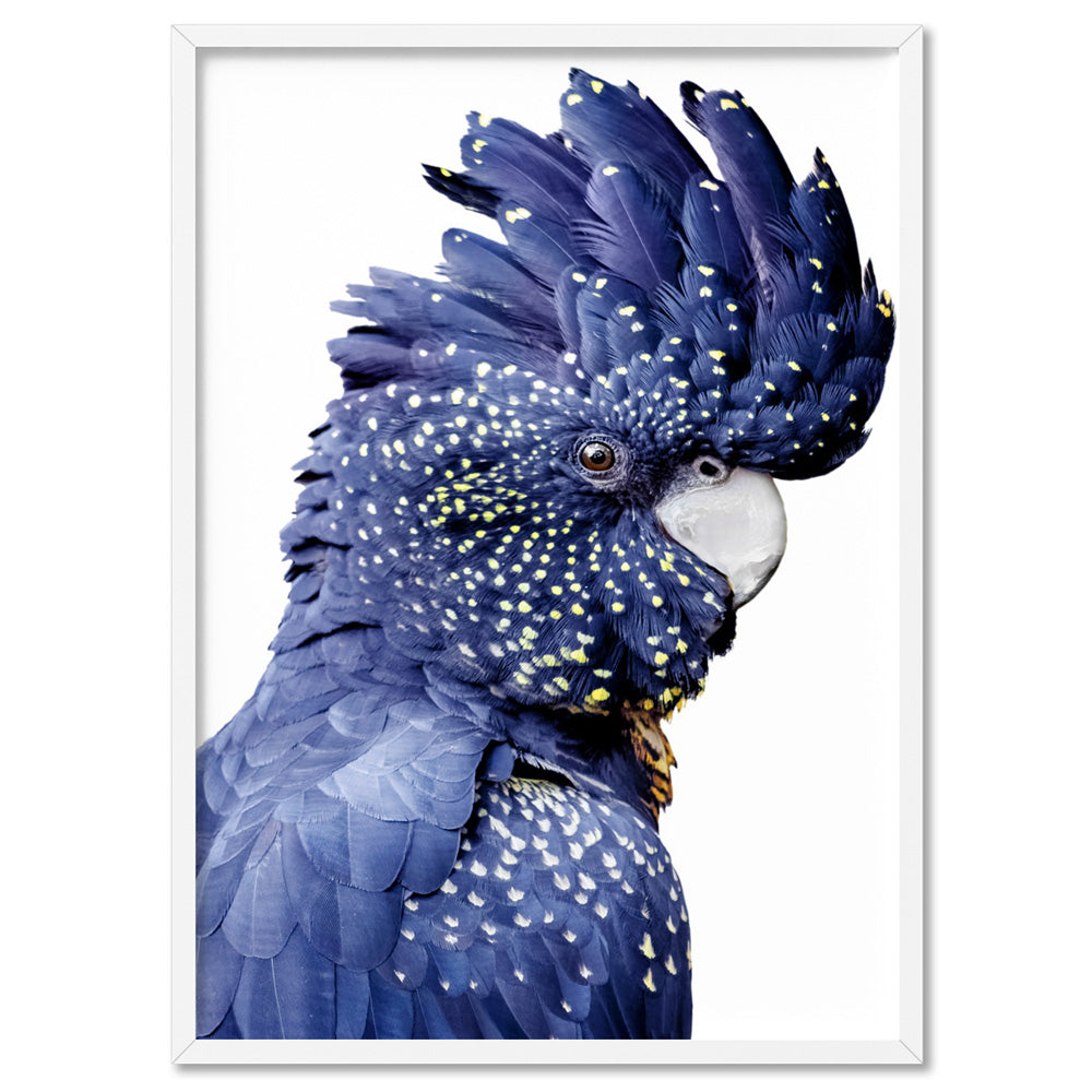 Black Cockatoo (blue tones) II - Art Print, Poster, Stretched Canvas, or Framed Wall Art Print, shown in a white frame