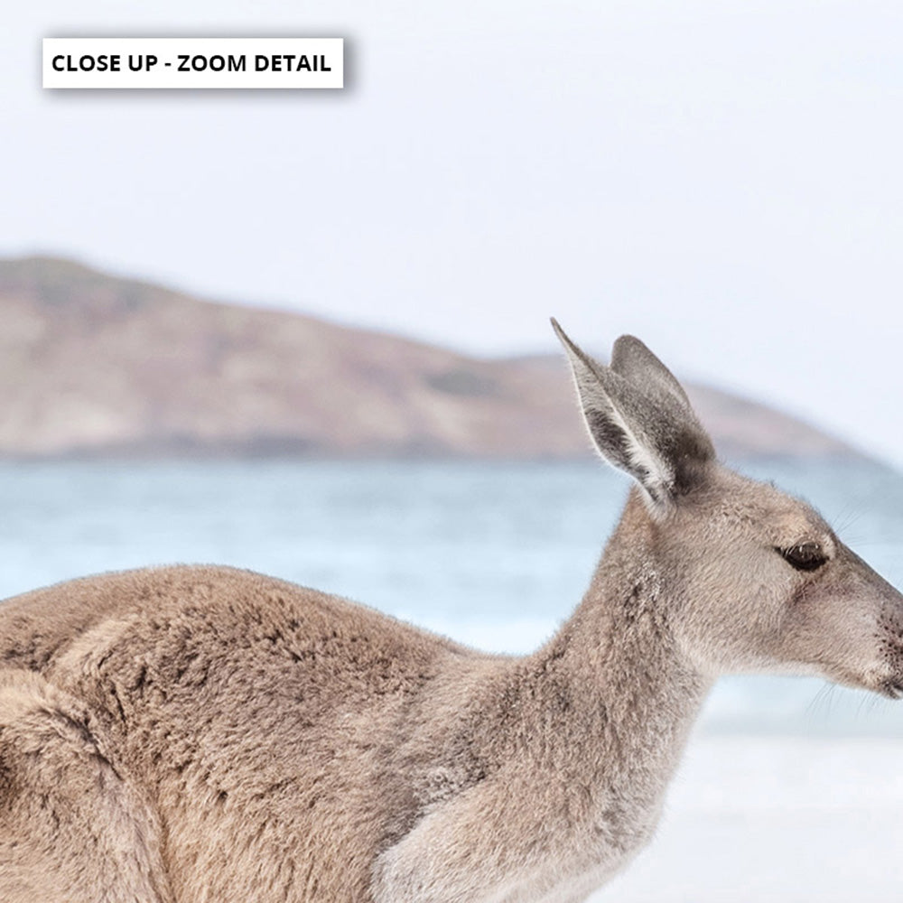 Coastal Beach Kangaroo I - Art Print, Poster, Stretched Canvas or Framed Wall Art, Close up View of Print Resolution