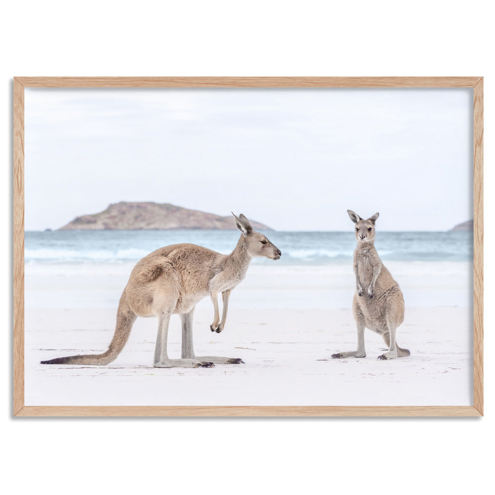 Coastal Beach Kangaroos III - Art Print, Poster, Stretched Canvas, or Framed Wall Art Print, shown in a natural timber frame