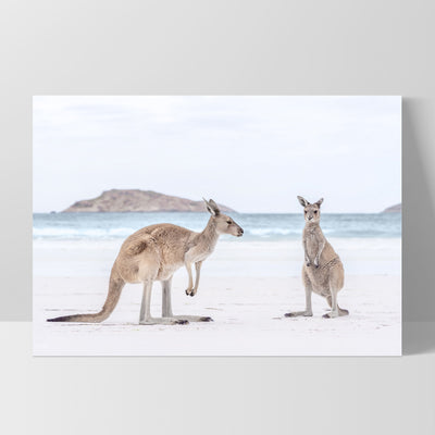 Coastal Beach Kangaroos III - Art Print, Poster, Stretched Canvas, or Framed Wall Art Print, shown as a stretched canvas or poster without a frame
