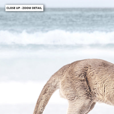 Coastal Beach Kangaroos III - Art Print, Poster, Stretched Canvas or Framed Wall Art, Close up View of Print Resolution
