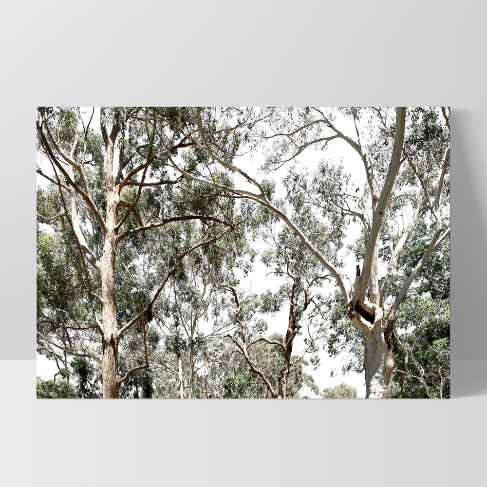 Among the Gumtrees - Art Print, Poster, Stretched Canvas, or Framed Wall Art Print, shown as a stretched canvas or poster without a frame