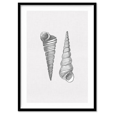 Sea Shells in Grey | Auger Shells - Art Print, Poster, Stretched Canvas, or Framed Wall Art Print, shown in a black frame