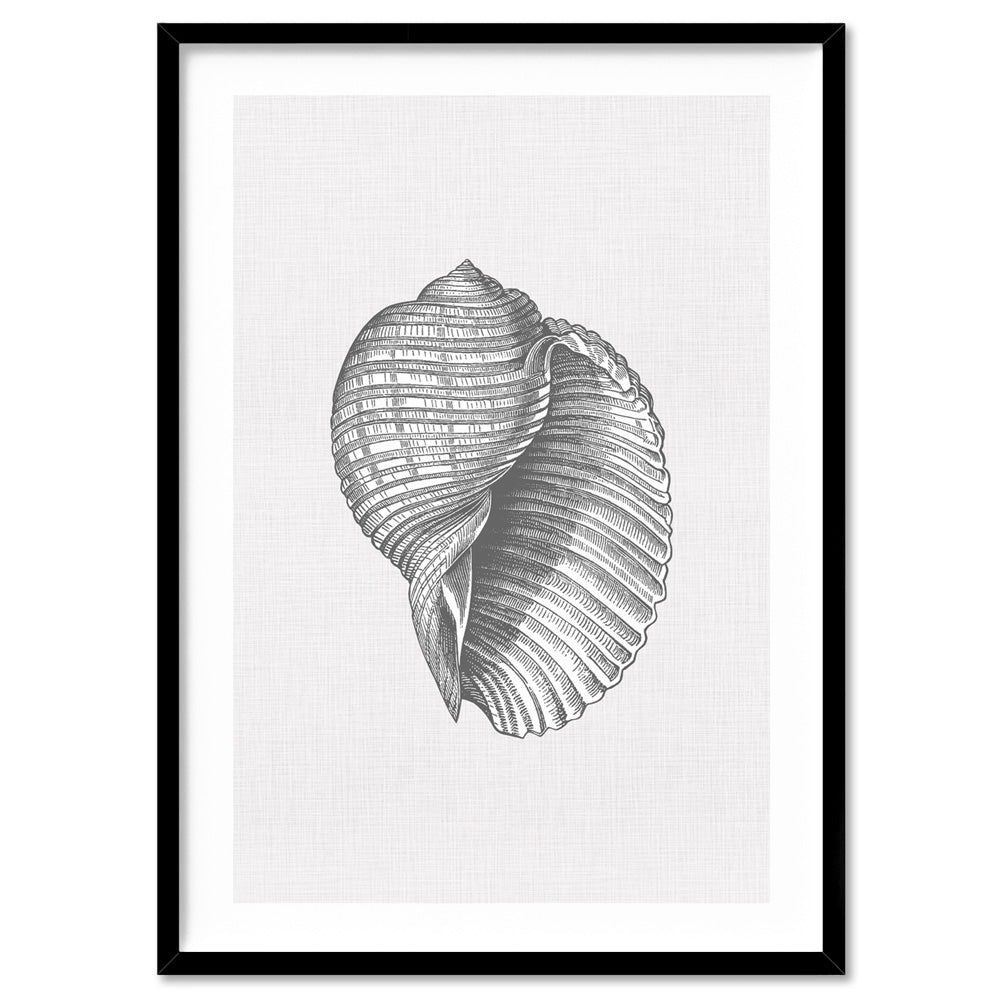 Sea Shells in Grey | Scotch Bonnet - Art Print, Poster, Stretched Canvas, or Framed Wall Art Print, shown in a black frame