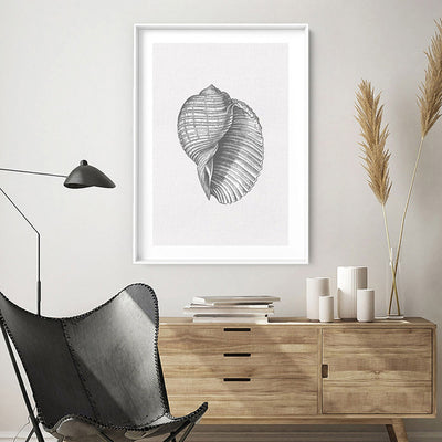 Sea Shells in Grey | Scotch Bonnet - Art Print, Poster, Stretched Canvas or Framed Wall Art Prints, shown framed in a room