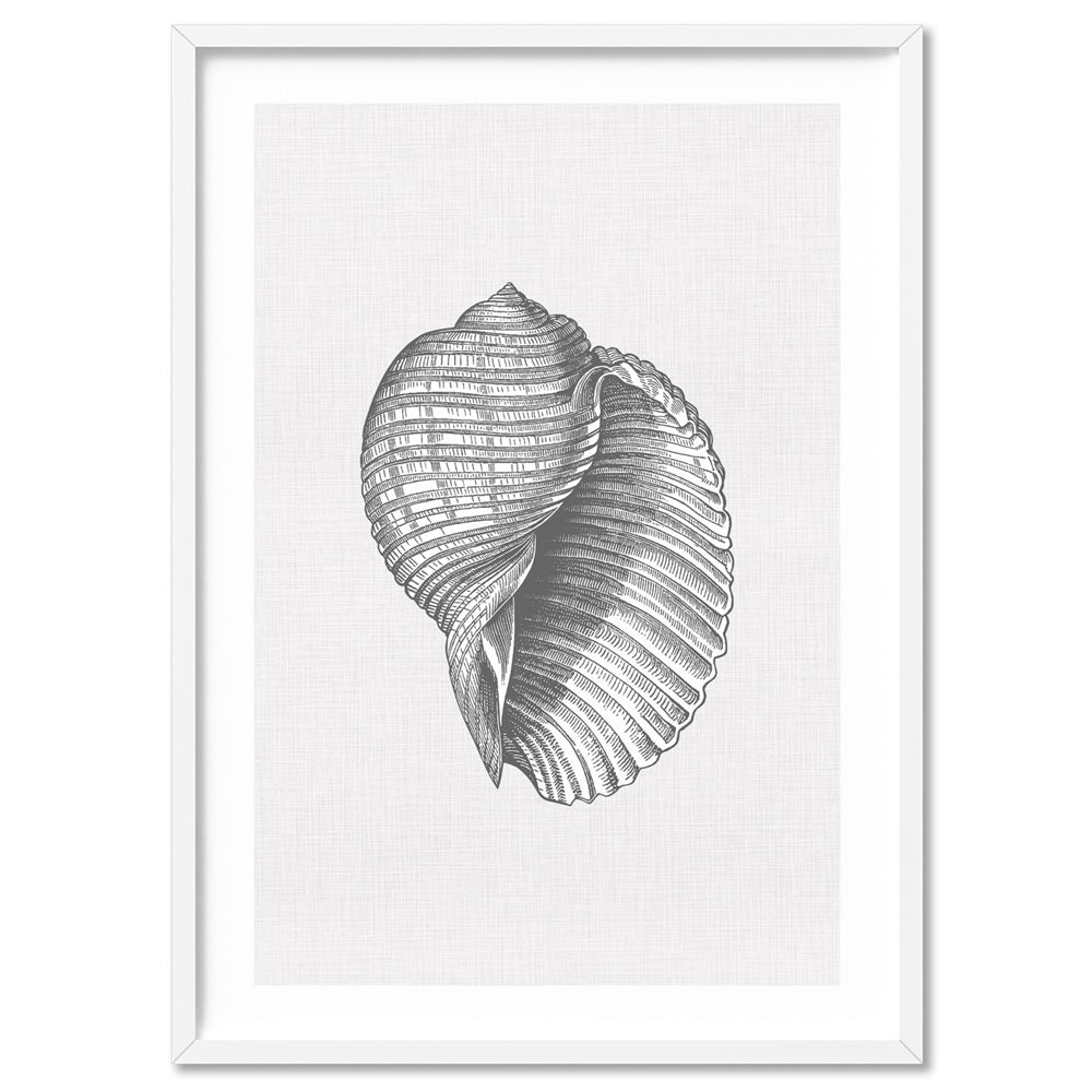Sea Shells in Grey | Scotch Bonnet - Art Print, Poster, Stretched Canvas, or Framed Wall Art Print, shown in a white frame