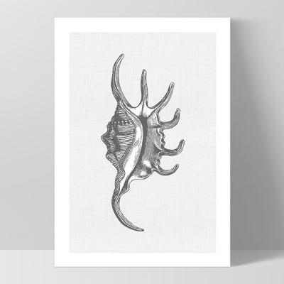 Sea Shells in Grey | Spider Conch  - Art Print, Poster, Stretched Canvas, or Framed Wall Art Print, shown as a stretched canvas or poster without a frame