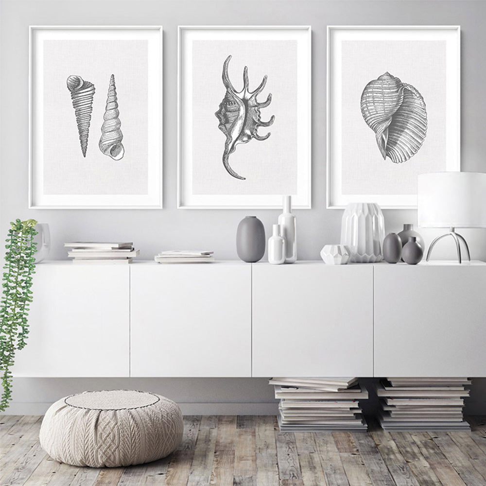 Sea Shells in Grey | Spider Conch  - Art Print, Poster, Stretched Canvas or Framed Wall Art, shown framed in a home interior space