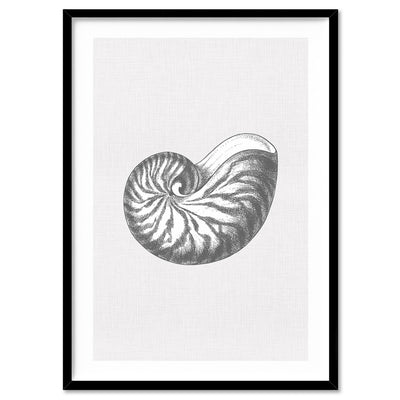 Sea Shells in Grey | Nautilus Shell  - Art Print, Poster, Stretched Canvas, or Framed Wall Art Print, shown in a black frame