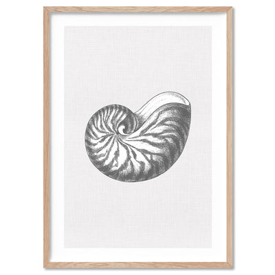 Sea Shells in Grey | Nautilus Shell  - Art Print, Poster, Stretched Canvas, or Framed Wall Art Print, shown in a natural timber frame