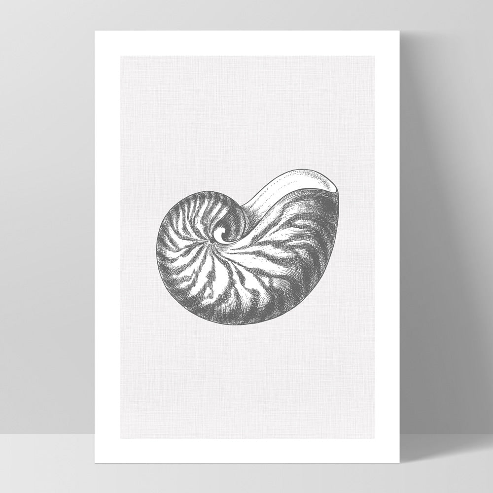Sea Shells in Grey | Nautilus Shell  - Art Print, Poster, Stretched Canvas, or Framed Wall Art Print, shown as a stretched canvas or poster without a frame