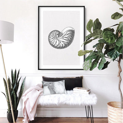 Sea Shells in Grey | Nautilus Shell  - Art Print, Poster, Stretched Canvas or Framed Wall Art Prints, shown framed in a room