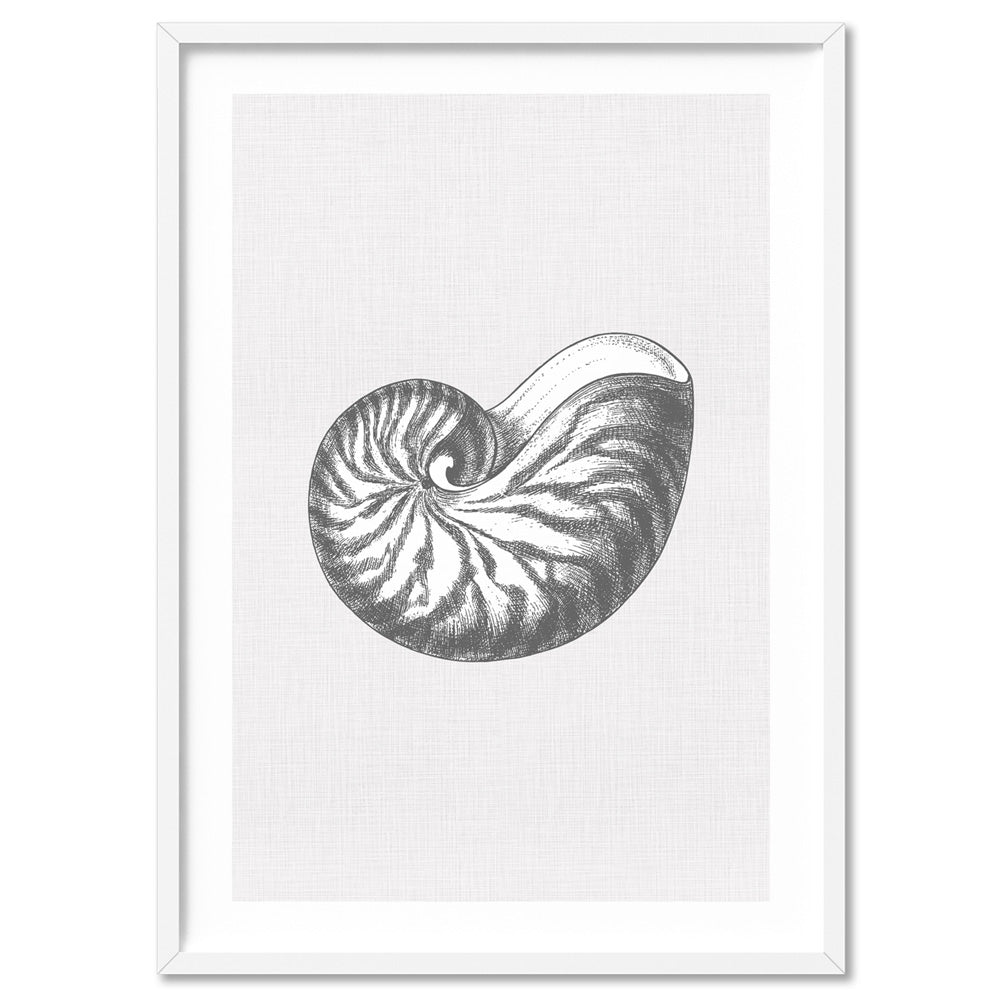 Sea Shells in Grey | Nautilus Shell  - Art Print, Poster, Stretched Canvas, or Framed Wall Art Print, shown in a white frame