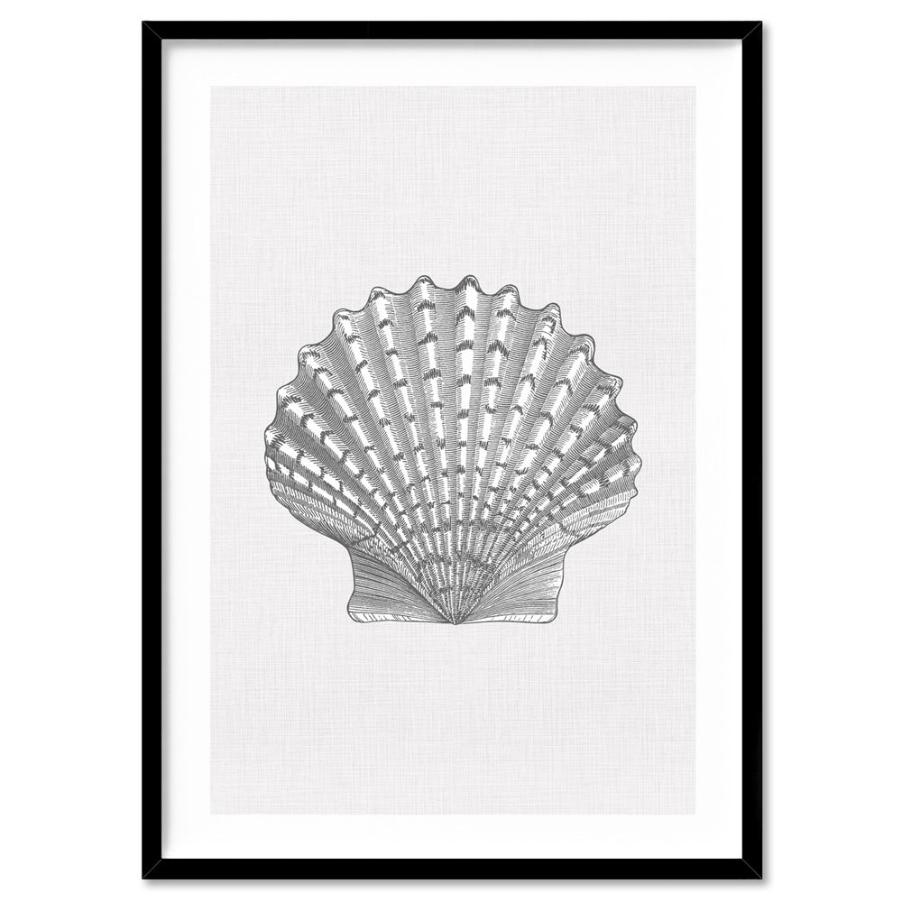 Sea Shells in Grey | Lions Paw Scallop - Art Print, Poster, Stretched Canvas, or Framed Wall Art Print, shown in a black frame