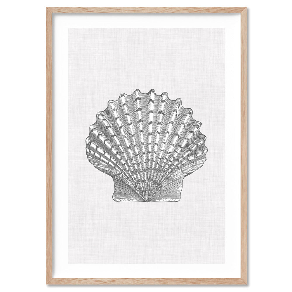 Sea Shells in Grey | Lions Paw Scallop - Art Print, Poster, Stretched Canvas, or Framed Wall Art Print, shown in a natural timber frame