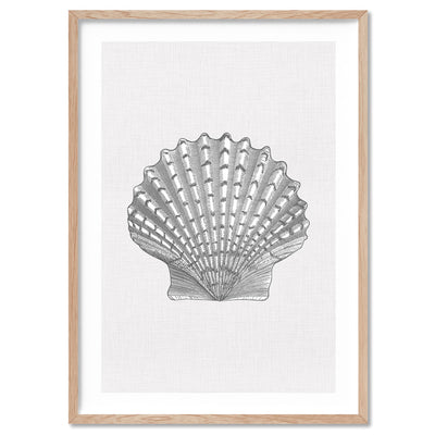 Sea Shells in Grey | Lions Paw Scallop - Art Print, Poster, Stretched Canvas, or Framed Wall Art Print, shown in a natural timber frame