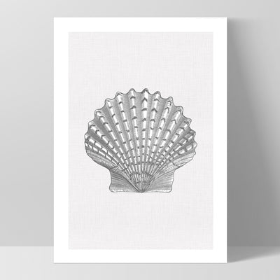 Sea Shells in Grey | Lions Paw Scallop - Art Print, Poster, Stretched Canvas, or Framed Wall Art Print, shown as a stretched canvas or poster without a frame