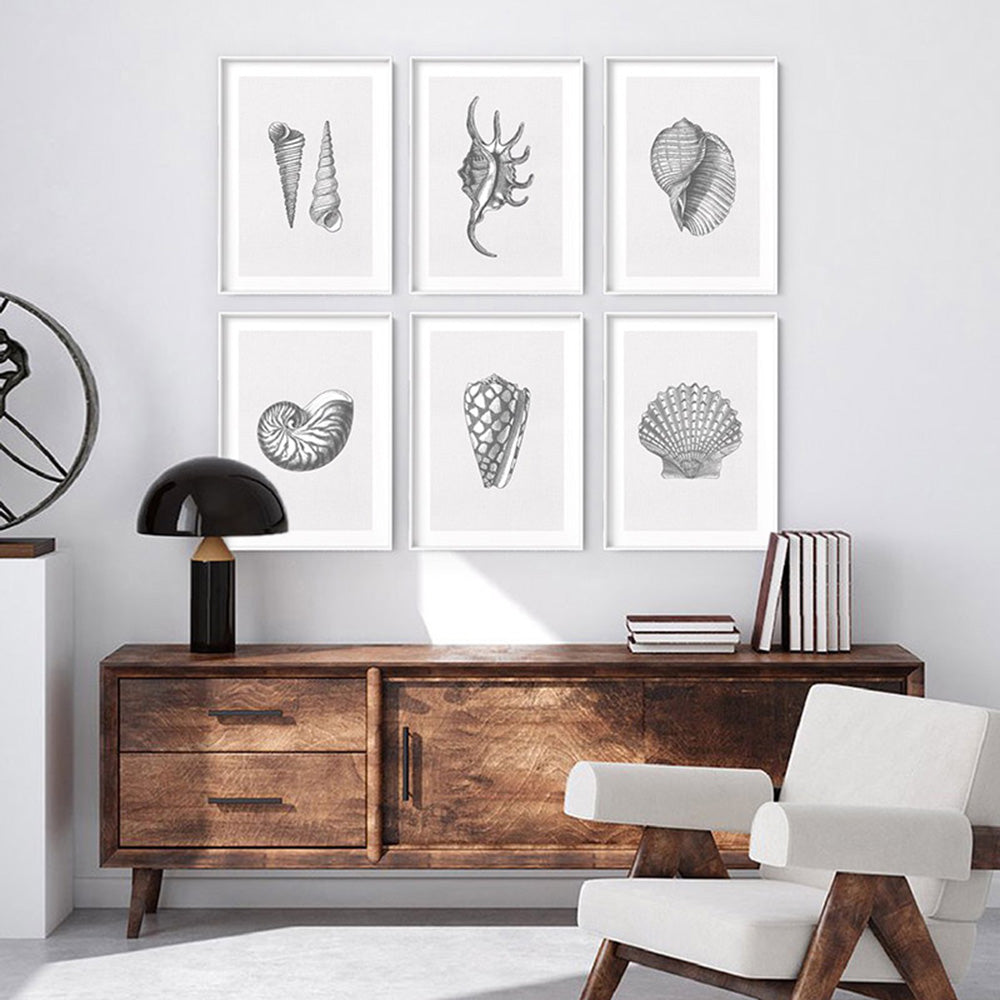 Sea Shells in Grey | Lions Paw Scallop - Art Print, Poster, Stretched Canvas or Framed Wall Art, shown framed in a home interior space